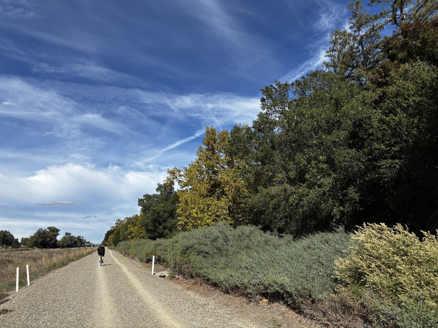 A Person Walks Alone Down A Gravel Path Surrounded By Green Bushes And Trees Under A Blue Sky With Wispy Clouds. White Posts Line The Path, And Sunlight Creates Vibrant Shadows On The Landscape.